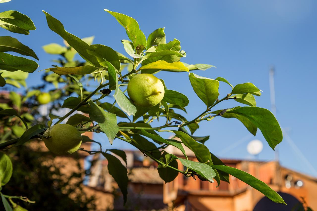 Trastevere Apartments Rom Eksteriør billede